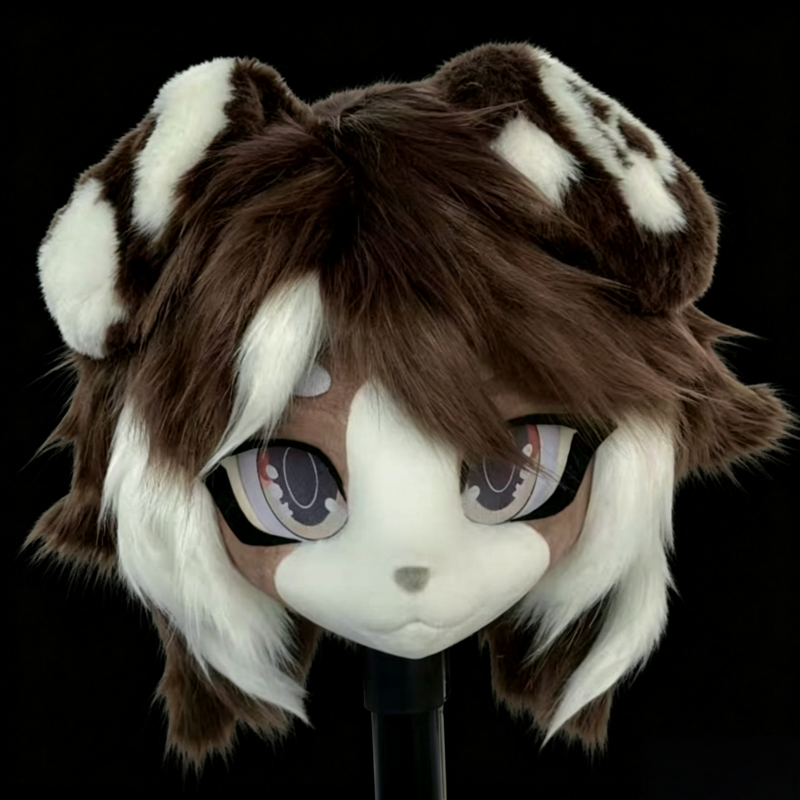 Head