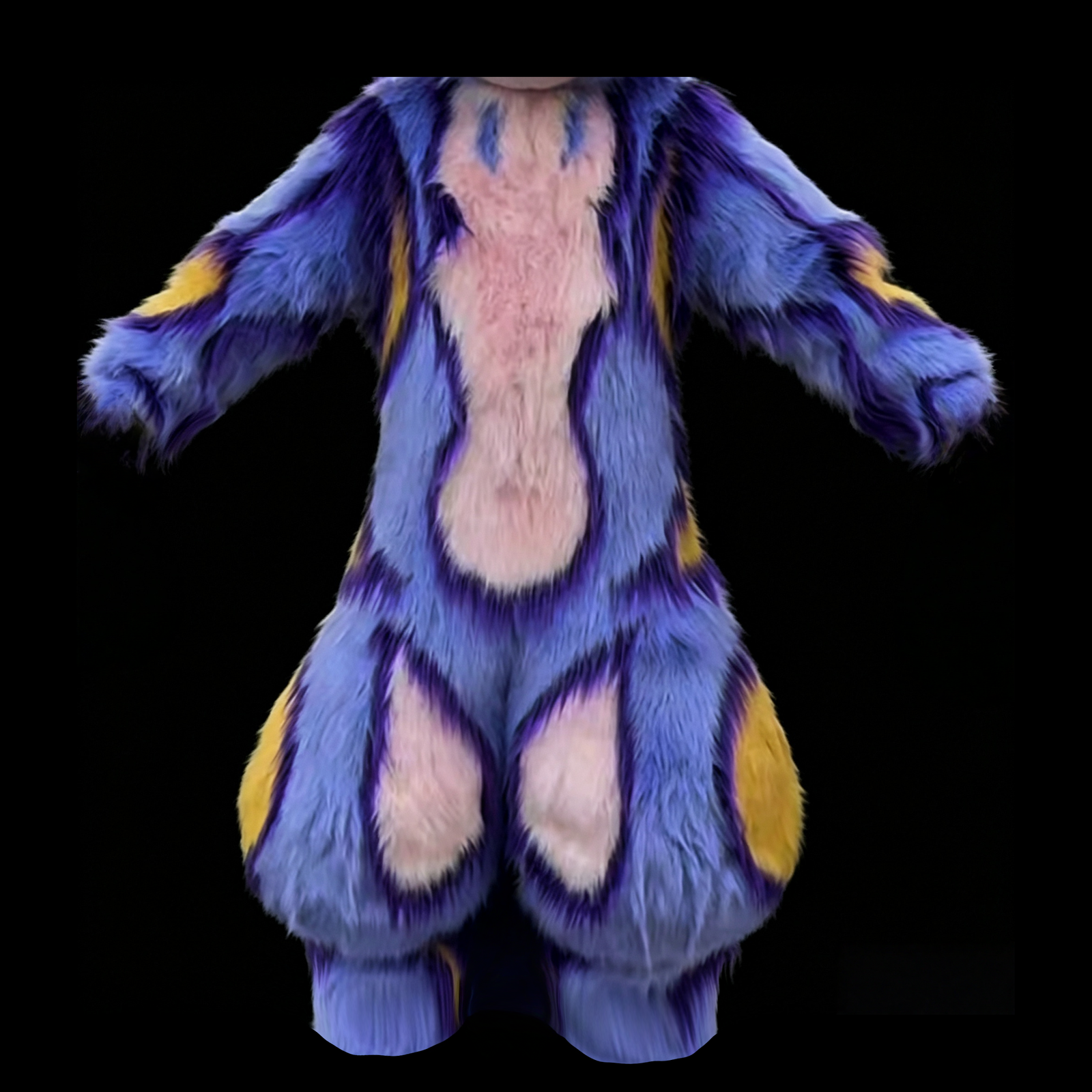 Body